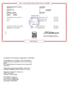 CHIC certificate preview