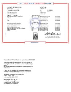 CHIC certificate preview