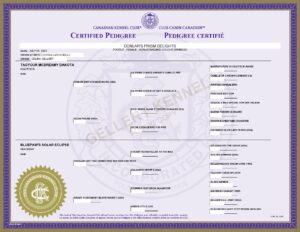 Pedigree preview